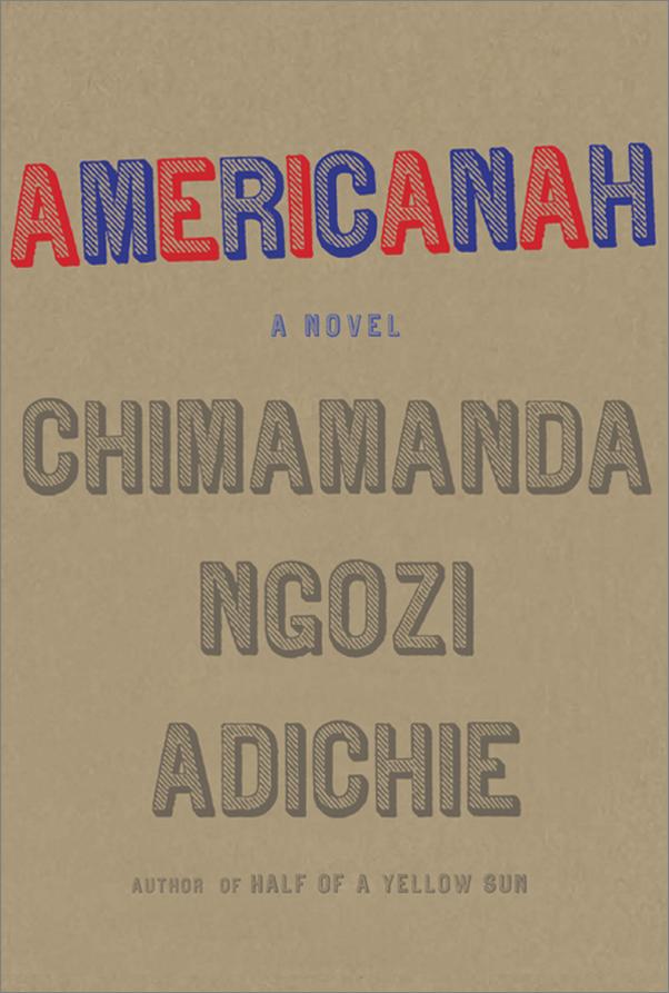 书籍《Americanah》 - 插图1