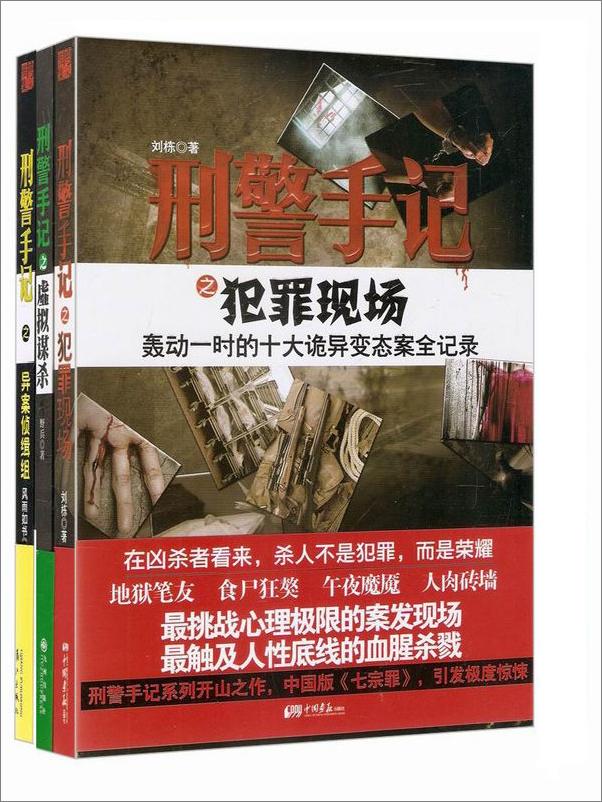 书籍《直面罪案现场：刑警手记全集》 - 插图2