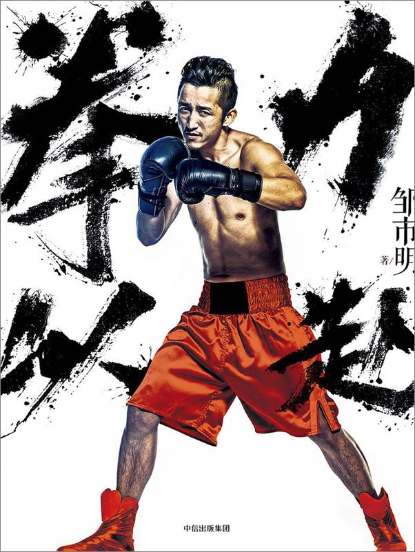 书籍《拳力以赴》 - 插图2