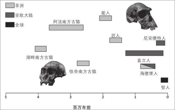 书籍《我们人类的进化：从走出非洲到主宰地球》 - 插图1