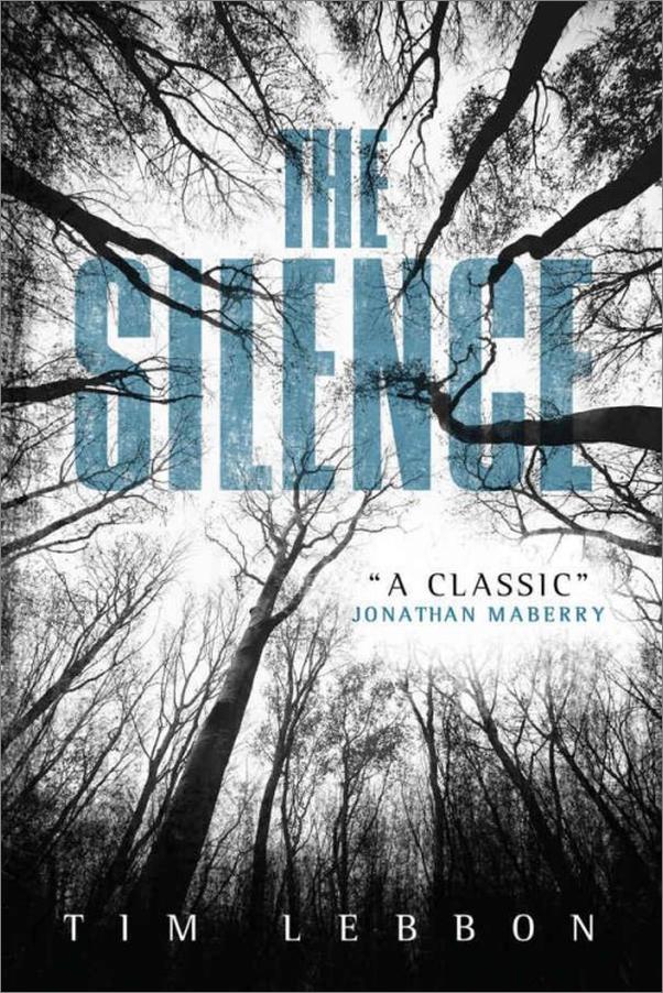 书籍《TheSilence》 - 插图1