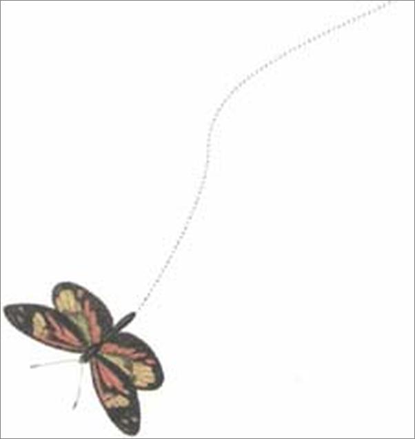 书籍《昆虫记(全译美绘本) (爱藏本散文诗歌) - 法布尔 (Fabre)》 - 插图2