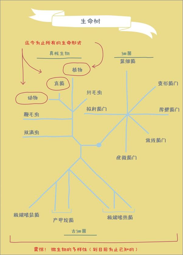 书籍《为什么有的人特别招蚊子 小小微生物告诉我们的事》 - 插图2