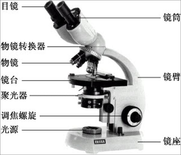 书籍《微生物学实验》 - 插图2