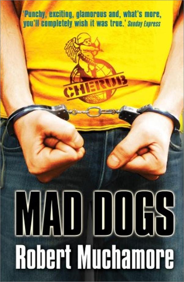 书籍《MadDogs》 - 插图1