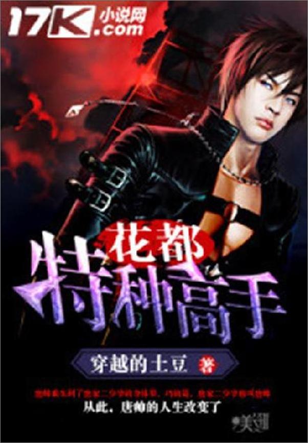 书籍《花都特种高手-穿越的土豆》 - 插图1
