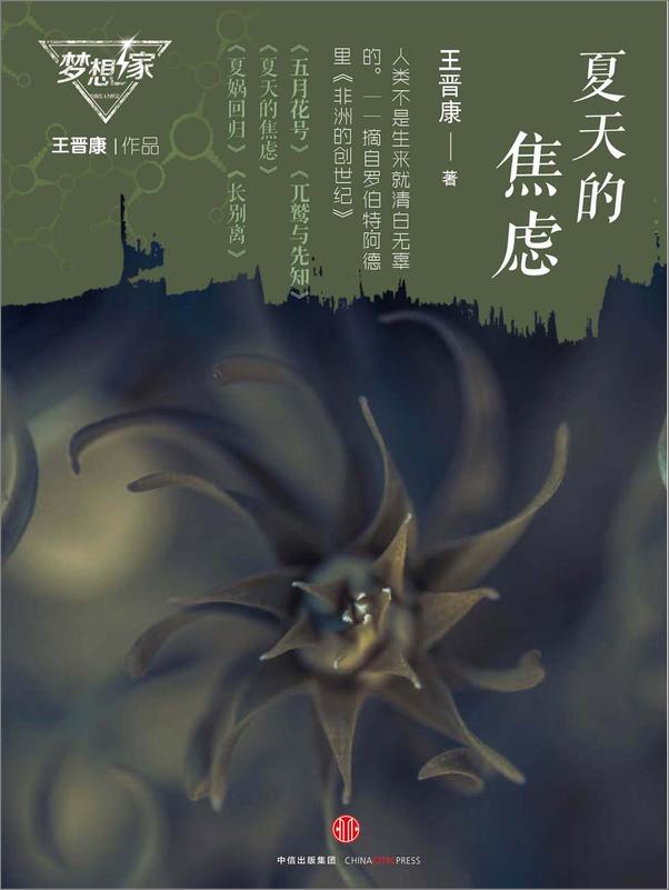 书籍《夏天的焦虑》 - 插图1