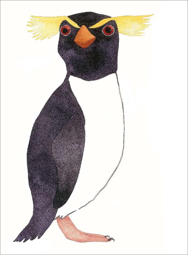 书籍《企鹅和其他海鸟》 - 插图2