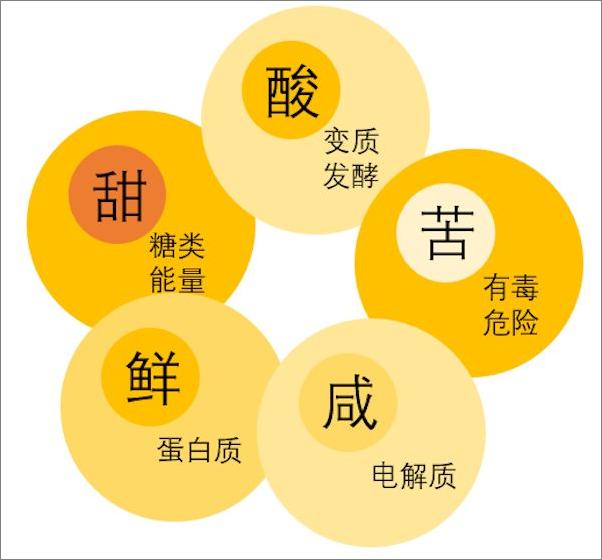 书籍《你为什么那么好吃——技术型吃货养成》 - 插图2