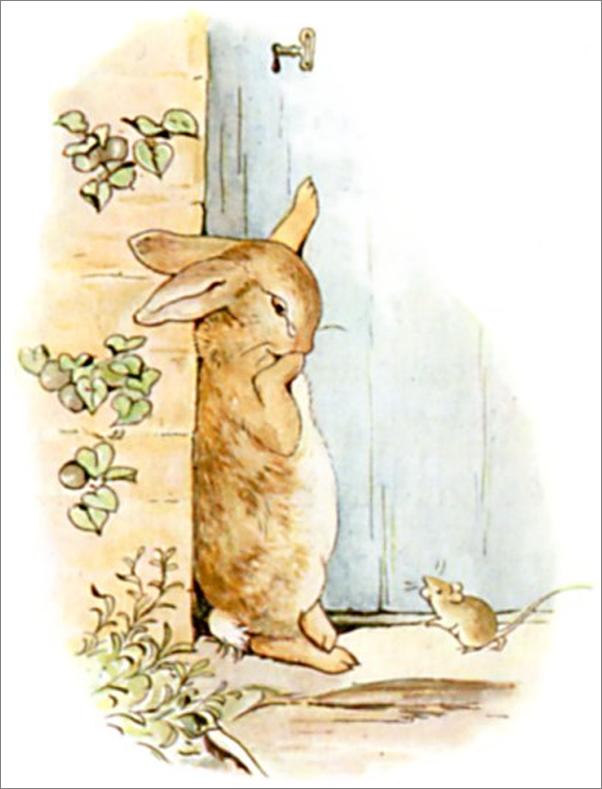 书籍《ThetaleofPeterRabbit》 - 插图1