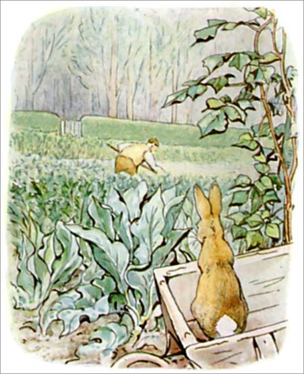 书籍《ThetaleofPeterRabbit》 - 插图2