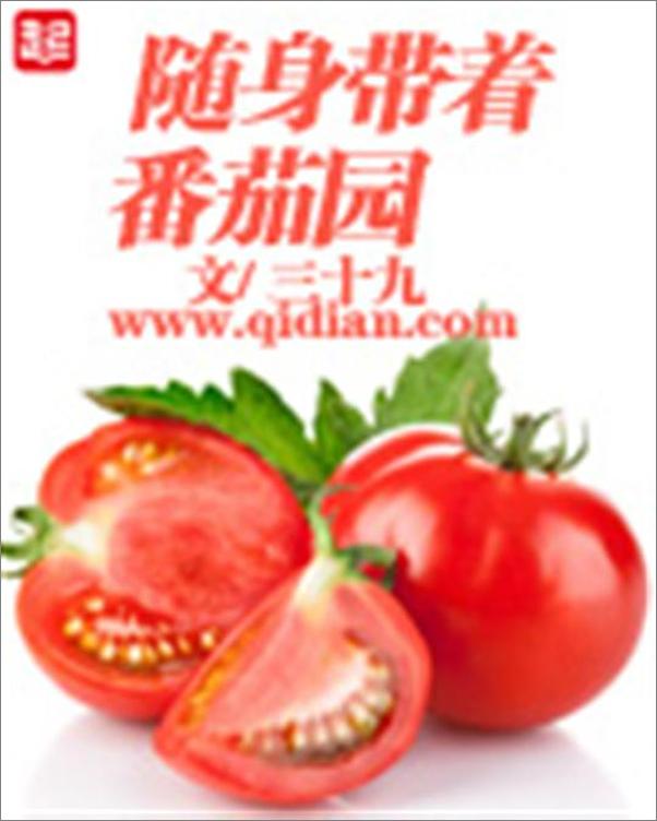 书籍《随身带着番茄园-三十九》 - 插图1