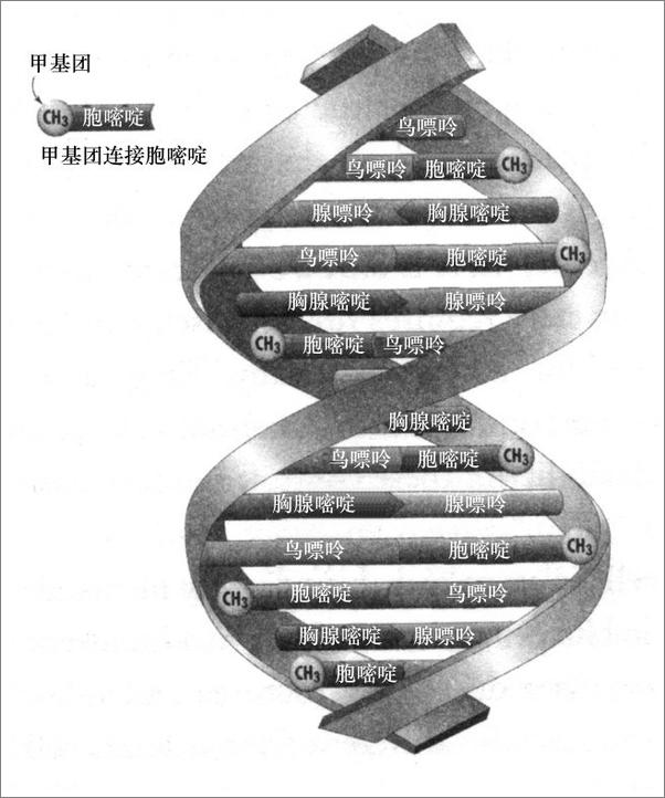 书籍《超级基因：如何改变你的未来》 - 插图1