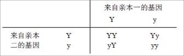 书籍《20世纪思想史：从弗洛伊德到互联网（上下册)》 - 插图1