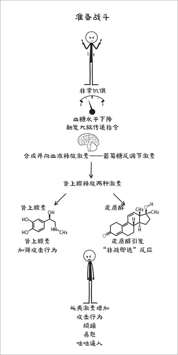 书籍《饿怒症》 - 插图2