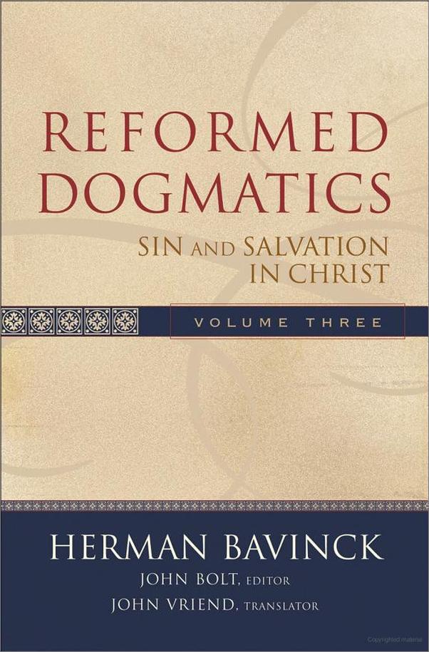 书籍《ReformedDogmaticsVolume3_Sin&Salvationin.epub》 - 插图1