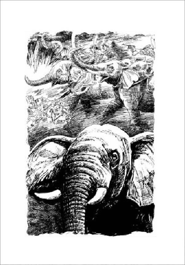 书籍《最后一头战象》 - 插图2