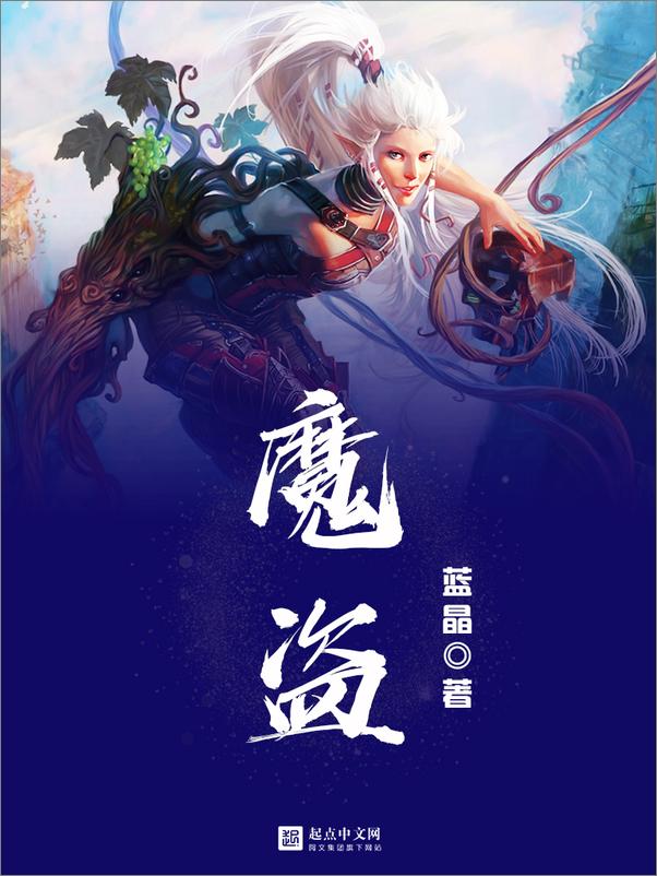 书籍《魔盗》 - 插图1