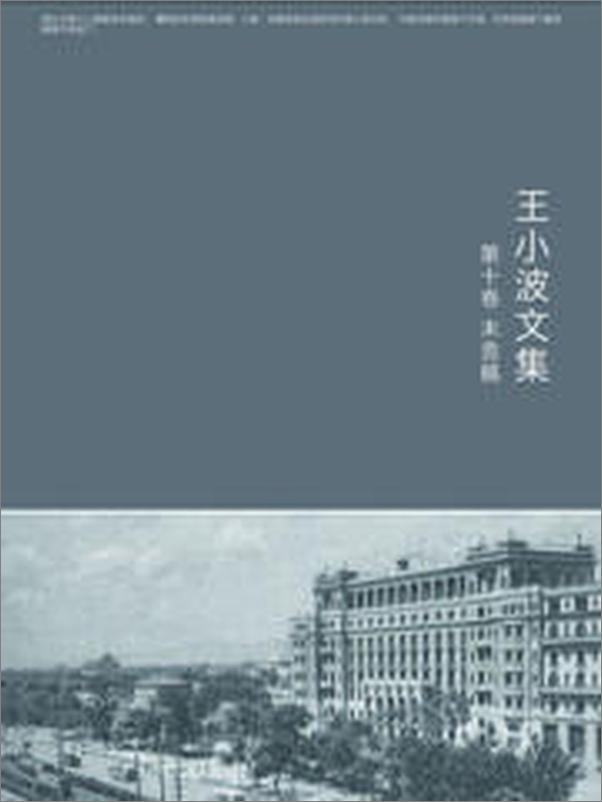 书籍《王小波全集.第十卷》 - 插图2