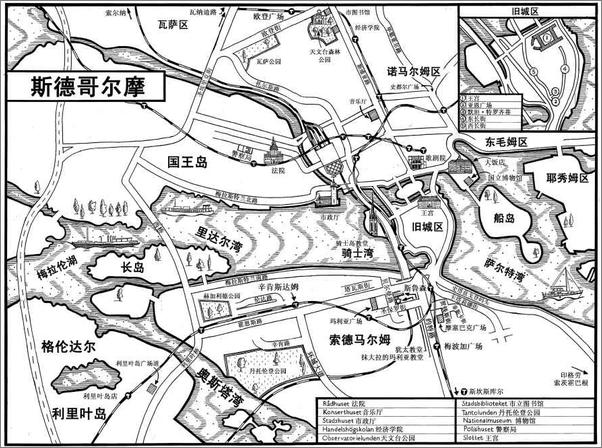 书籍《千禧年四部：曲蜘蛛网中的女孩》 - 插图1