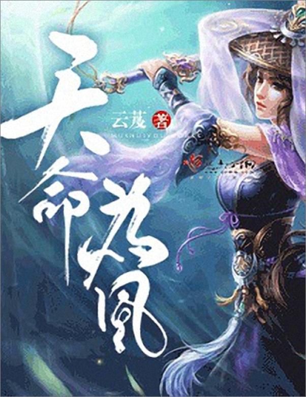 书籍《天命为凰v1.0 - 云芨》 - 插图1