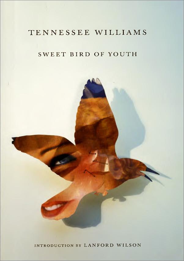 书籍《SweetBirdofYouth》 - 插图1