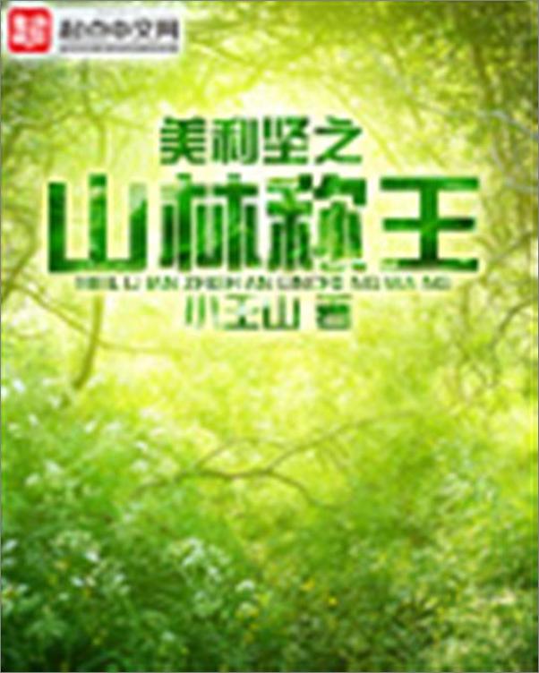 书籍《美利坚之山林称王-小王山》 - 插图1