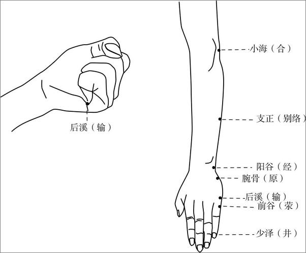 书籍《吴棹仙子午流注说难》 - 插图2