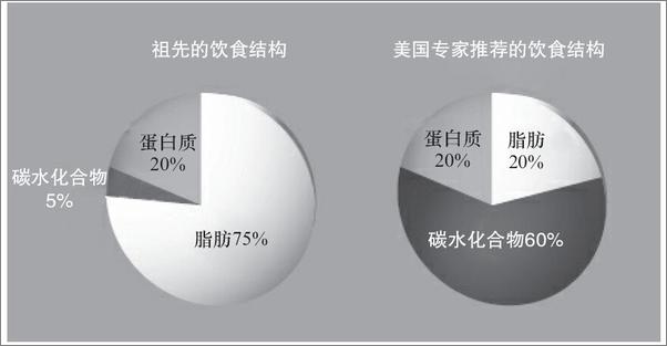 书籍《谷物大脑》 - 插图2