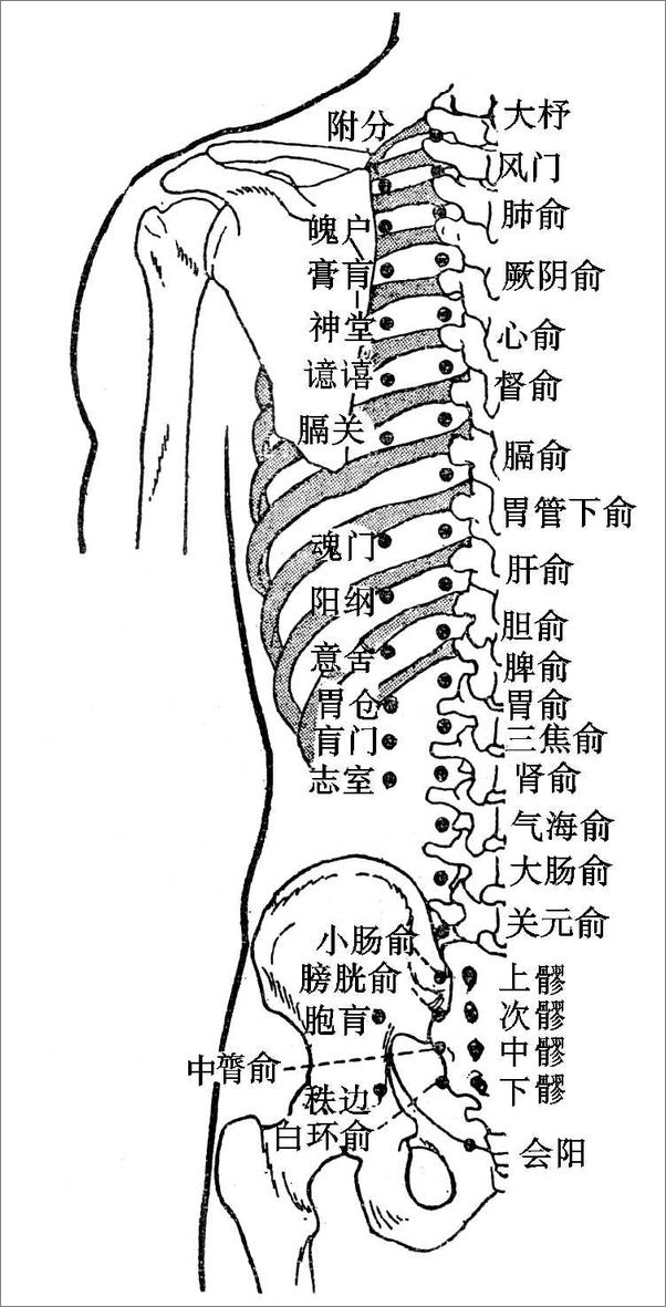 书籍《心脏病病人最关心的368个问题》 - 插图2