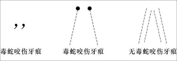 书籍《全科医生处方手册》 - 插图1