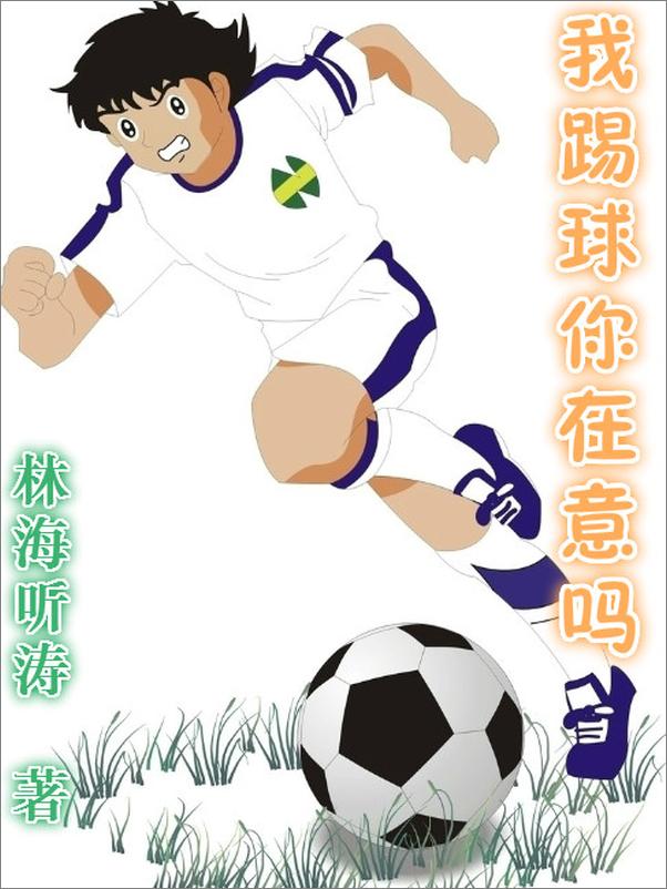 书籍《我踢球你在意吗【炫锋版】》 - 插图1