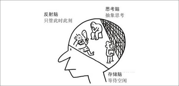 书籍《慢思考 大脑超载时代的思考学》 - 插图2