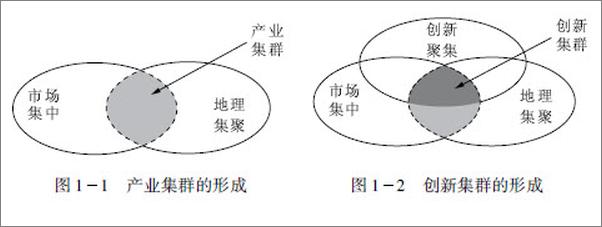 书籍《集聚耦合：创新集群发展动力机制》 - 插图2