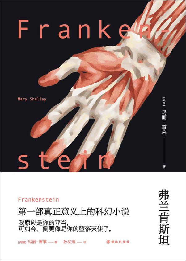 书籍《弗兰肯斯坦》 - 插图2