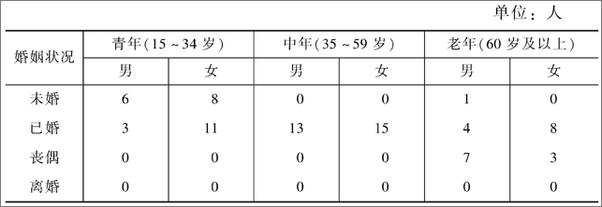 书籍《农民自杀研究》 - 插图1