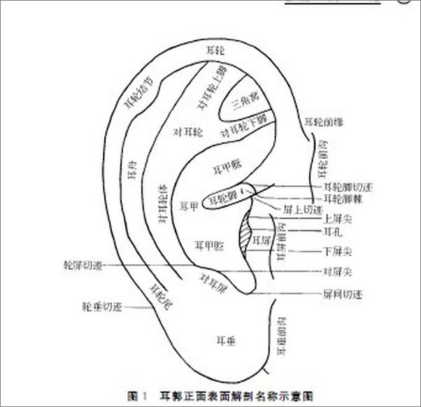 书籍《耳穴疗法治百病》 - 插图1