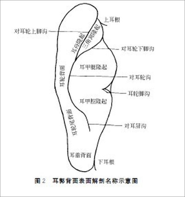 书籍《耳穴疗法治百病》 - 插图2