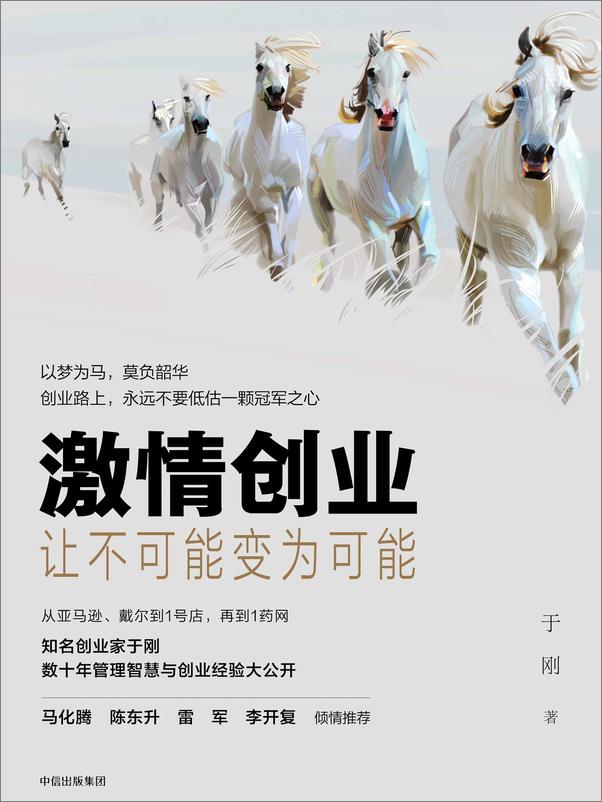书籍《激情创业：让不可能变为可能》 - 插图1