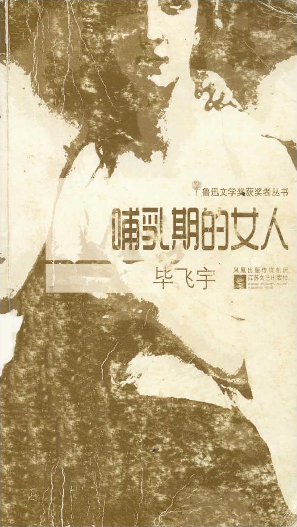 书籍《哺乳期的女人》 - 插图1