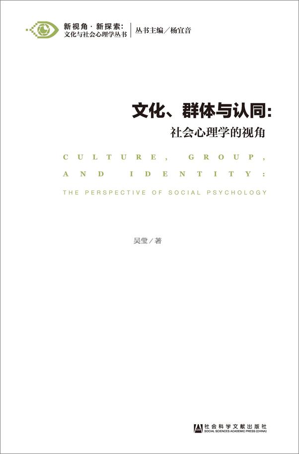 书籍《文化、群体与认同：社会心理学的视角》 - 插图1