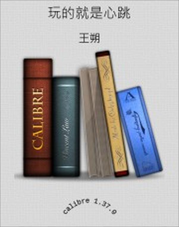 书籍《玩的就是心跳》 - 插图2