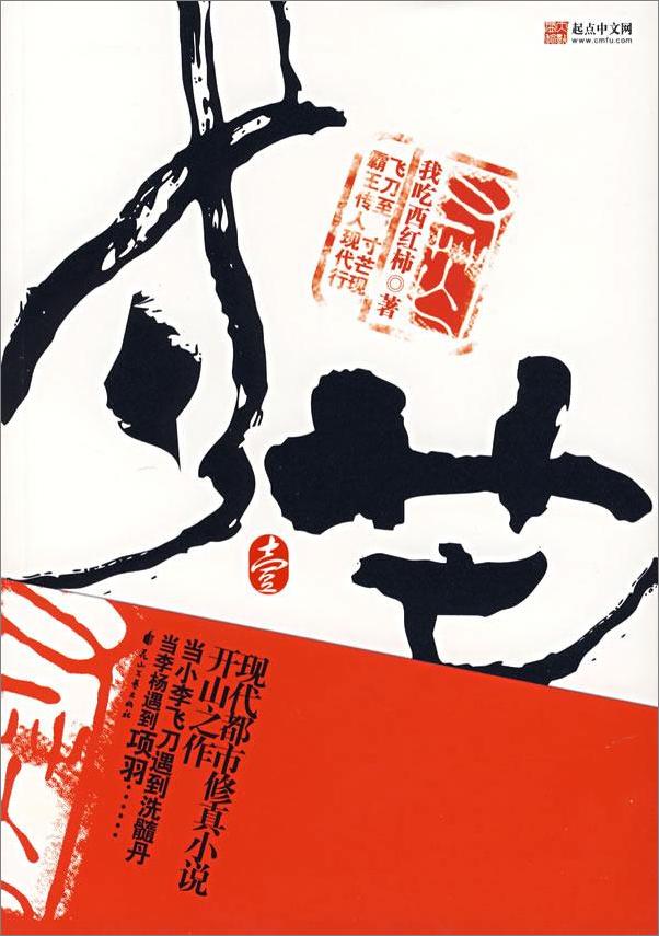 书籍《寸芒(全本)》 - 插图1