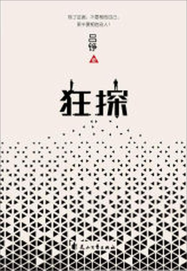 书籍《狂探》 - 插图1