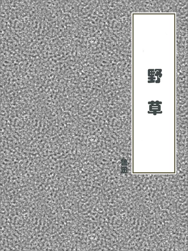 书籍《野草》 - 插图1