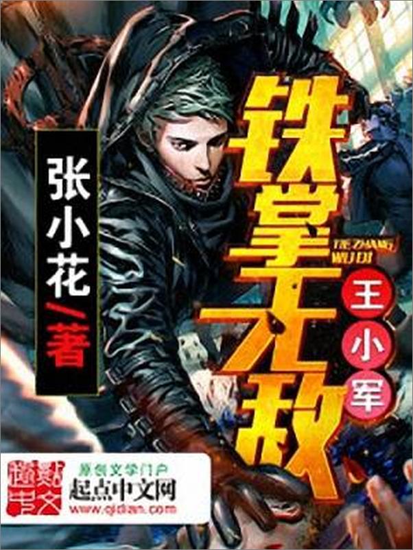 书籍《铁掌无敌王小军》 - 插图1
