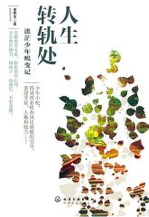 书籍《人生转轨处：迷茫少年蜕变记》 - 插图2