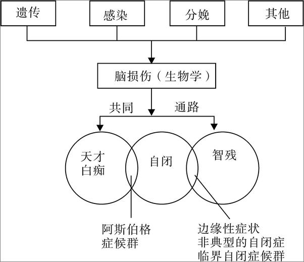 书籍《自闭症儿童的教育与干预》 - 插图1