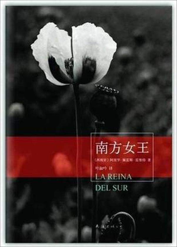 书籍《南方女王》 - 插图2