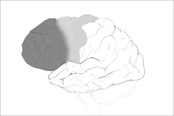 书籍《智慧大脑：高水平思考的大脑认知训练》 - 插图2